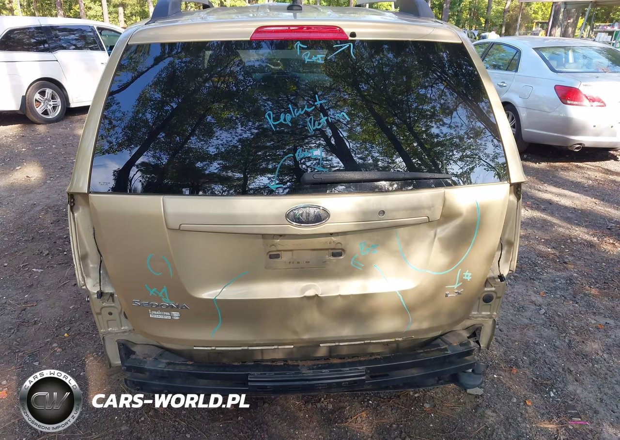 2009 Kia Sedona Lx VIN:KNDMB233796307964 - 6
