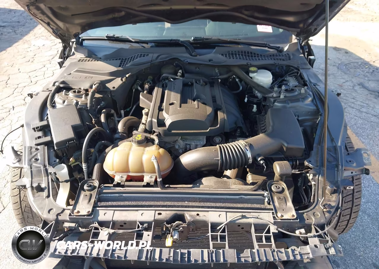 2015 Ford Mustang Ecoboost Premium VIN:1FATP8UH3F5334743 - 10