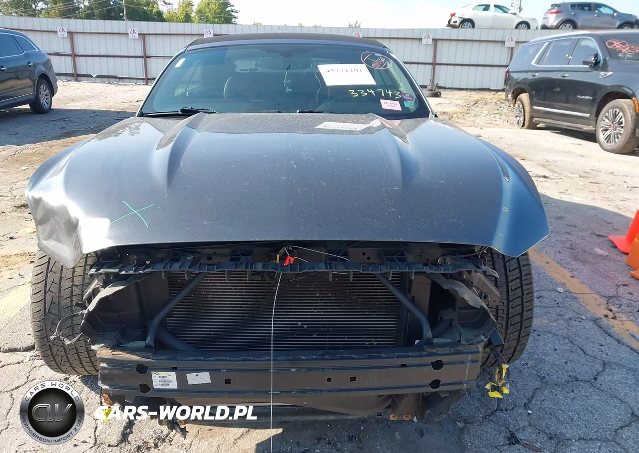 2015 Ford Mustang Ecoboost Premium VIN:1FATP8UH3F5334743 - 12