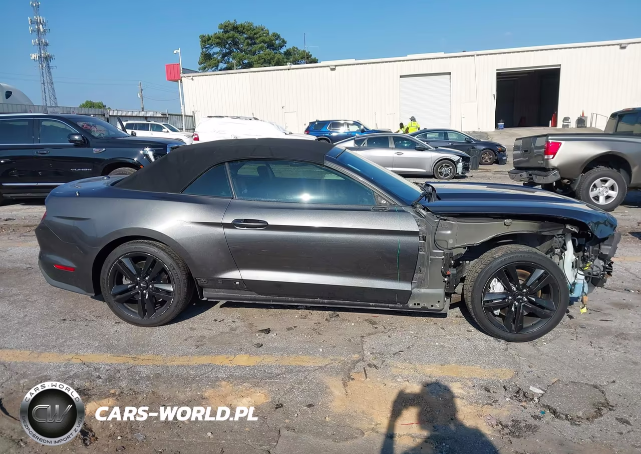2015 Ford Mustang Ecoboost Premium VIN:1FATP8UH3F5334743 - 13