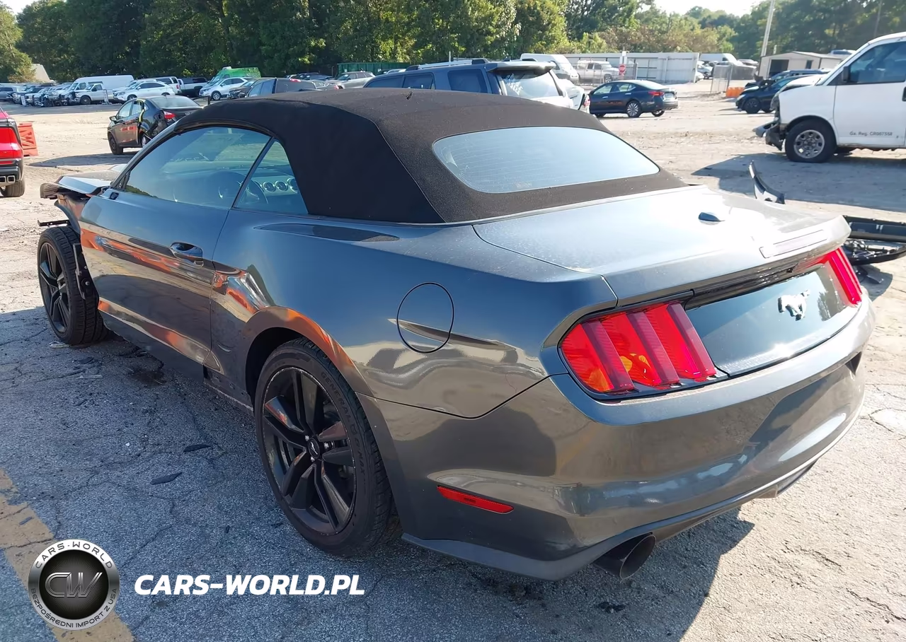 2015 Ford Mustang Ecoboost Premium VIN:1FATP8UH3F5334743 - 3