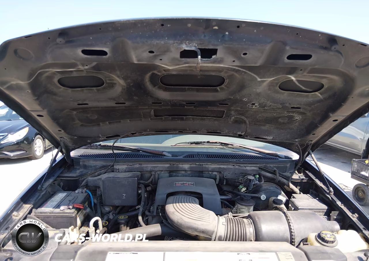 1997 Ford Expedition Eddie Bauer-Xlt VIN:1FMEU17L9VLA52924 - 8