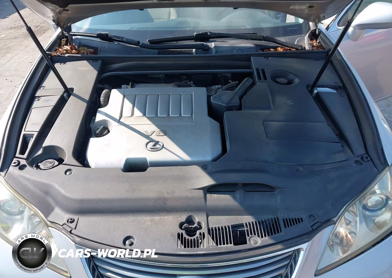 2008 Lexus Es 350 VIN:JTHBJ46G282204573 - 10