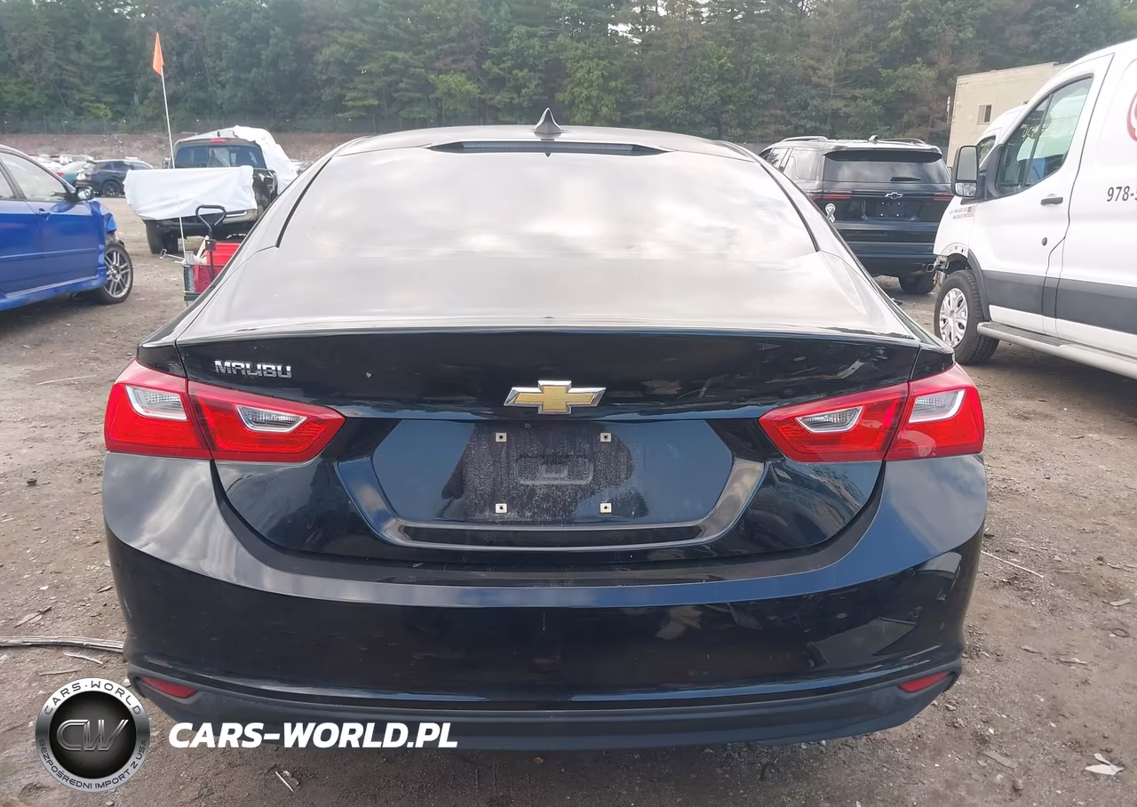 2017 Chevrolet Malibu Ls VIN:1G1ZB5ST8HF219862 - 16