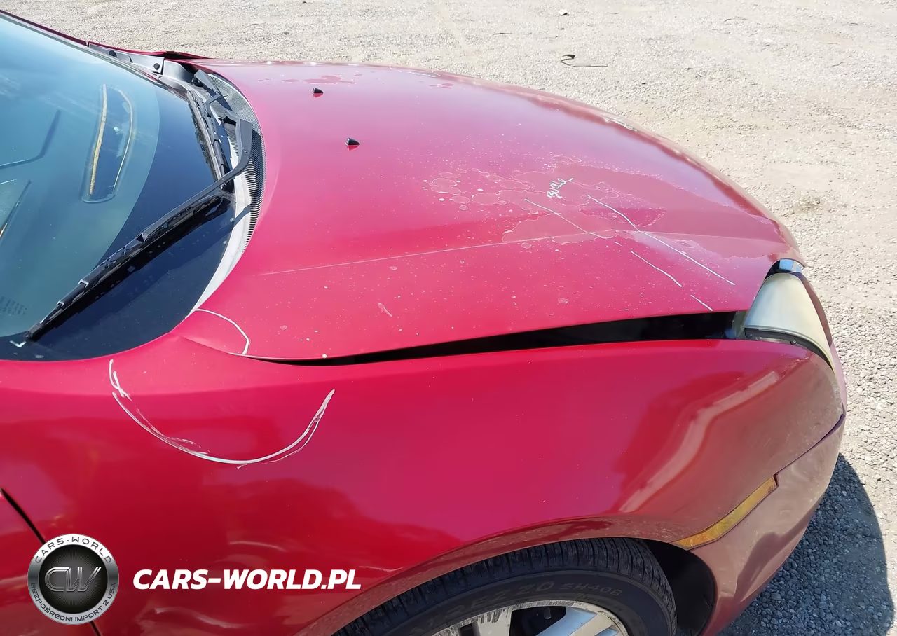 2009 Ford Fusion Sel VIN:3FAHP08109R101604 - 6