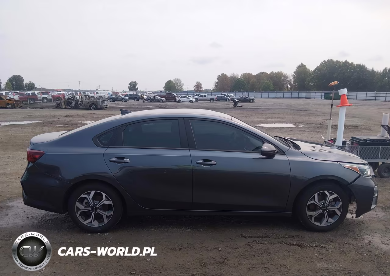 2019 Kia Forte Lxs VIN:3KPF24AD8KE116747 - 14