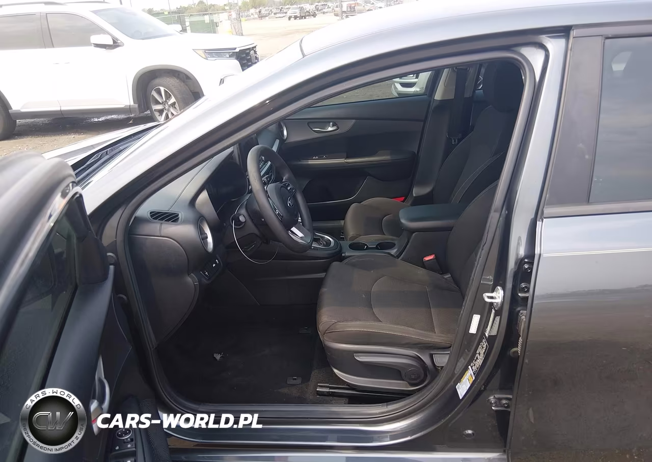 2019 Kia Forte Lxs VIN:3KPF24AD8KE116747 - 18