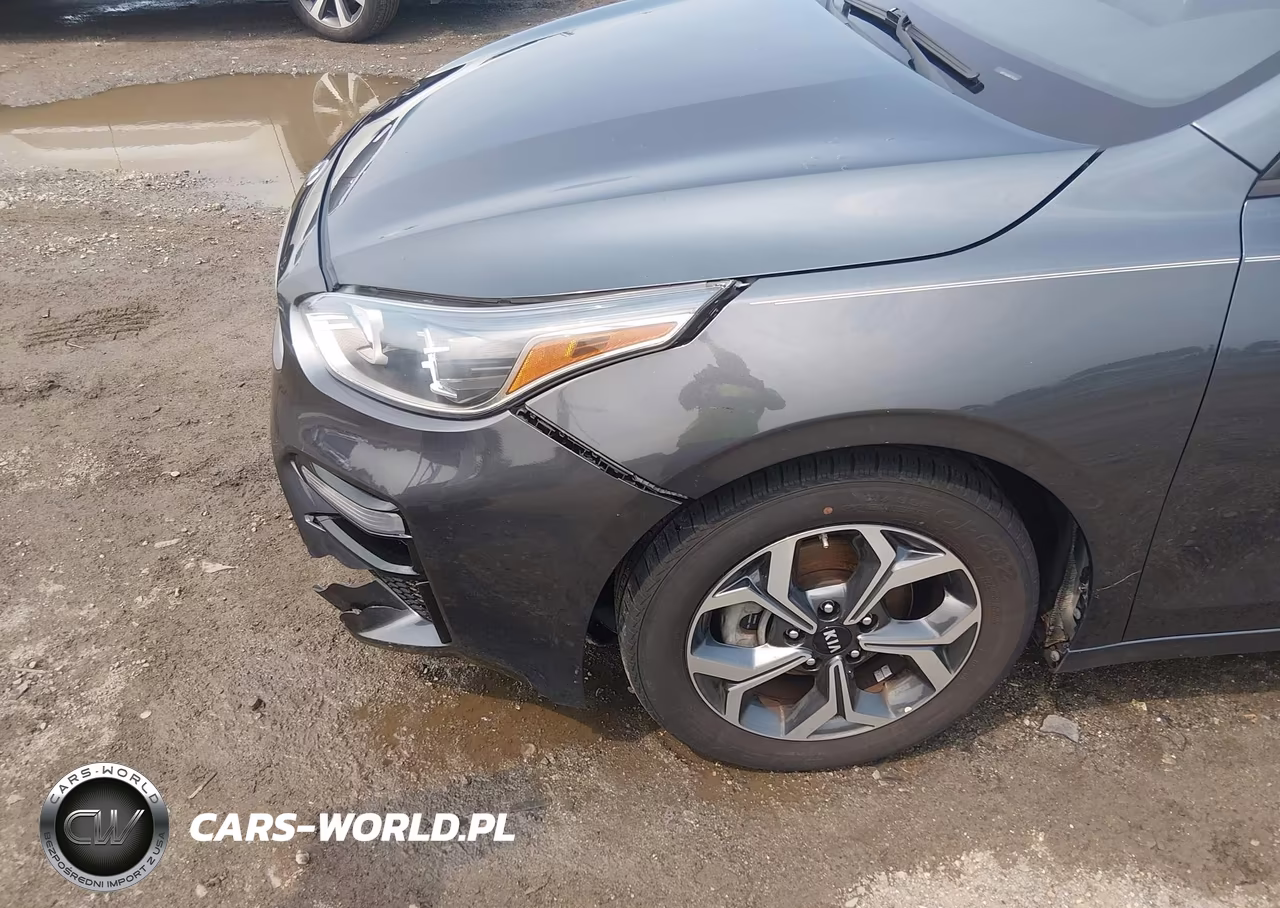 2019 Kia Forte Lxs VIN:3KPF24AD8KE116747 - 19
