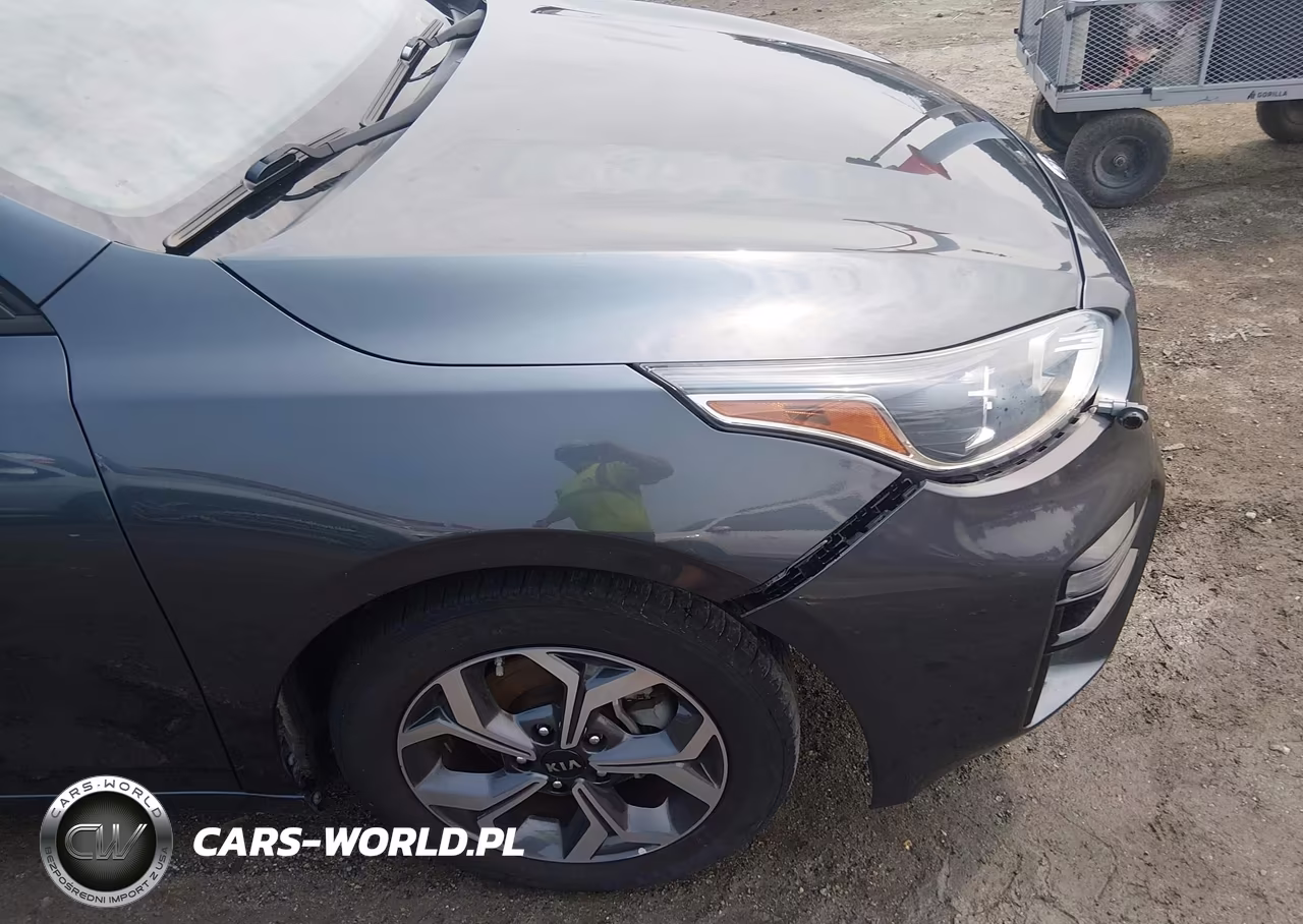 2019 Kia Forte Lxs VIN:3KPF24AD8KE116747 - 20