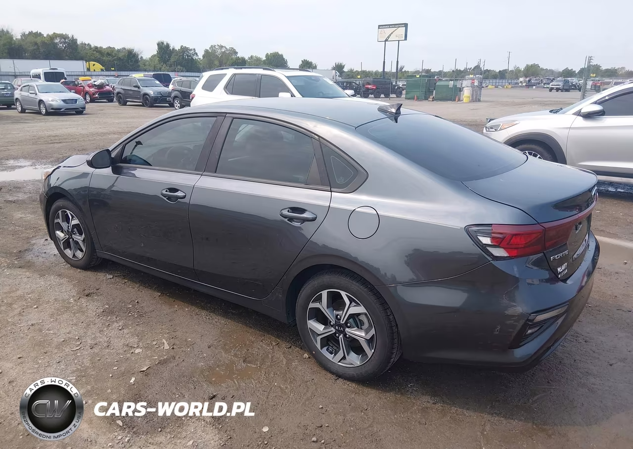 2019 Kia Forte Lxs VIN:3KPF24AD8KE116747 - 3