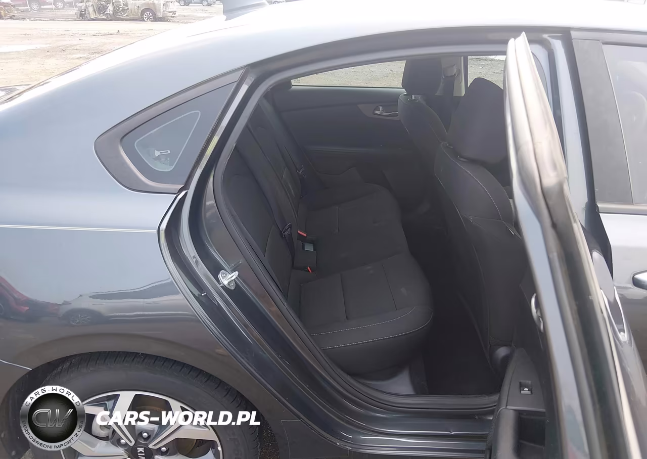 2019 Kia Forte Lxs VIN:3KPF24AD8KE116747 - 8