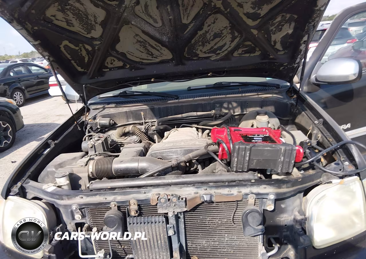 2003 Toyota Tundra Sr5 V8 VIN:5TBRT34103S399120 - 10