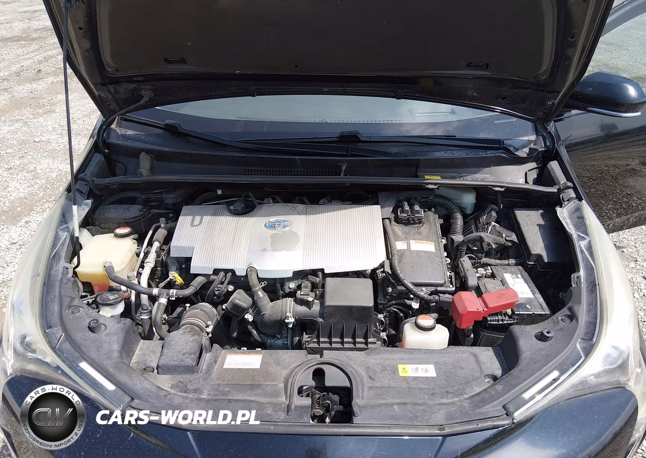 2016 Toyota Prius Four VIN:JTDKARFU1G3016124 - 10