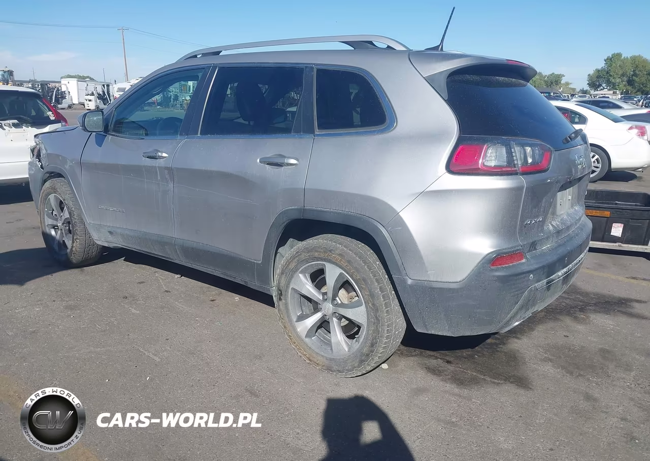 2019 Jeep Cherokee Limited 4X4 VIN:1C4PJMDX9KD165650 - 3
