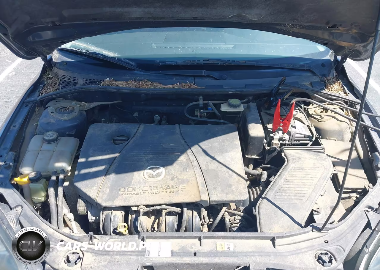 2004 Mazda Mazda3 S VIN:JM1BK343X41157799 - 10