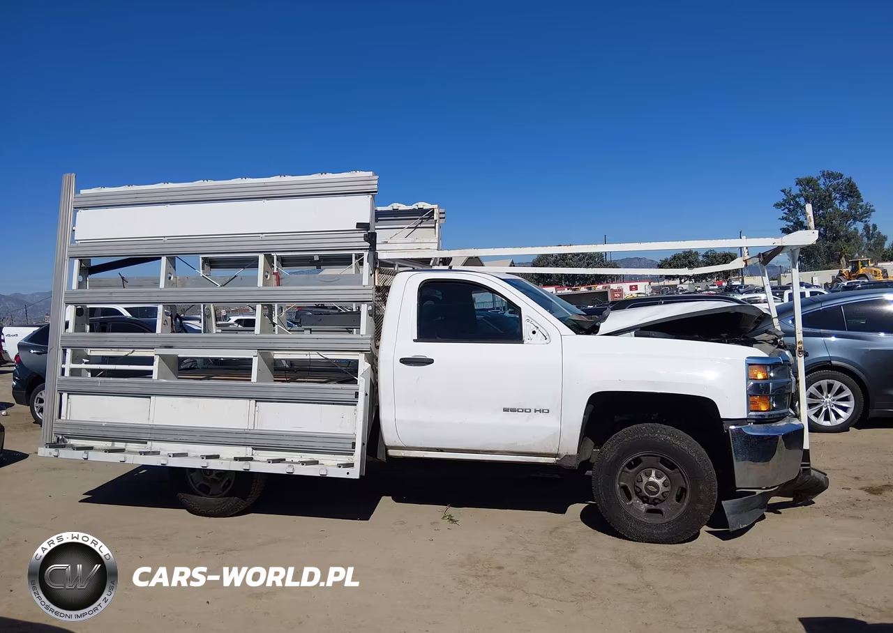 2016 Chevrolet Silverado 2500Hd Work Truck VIN:1GB0CUEG8GZ308130 - 13