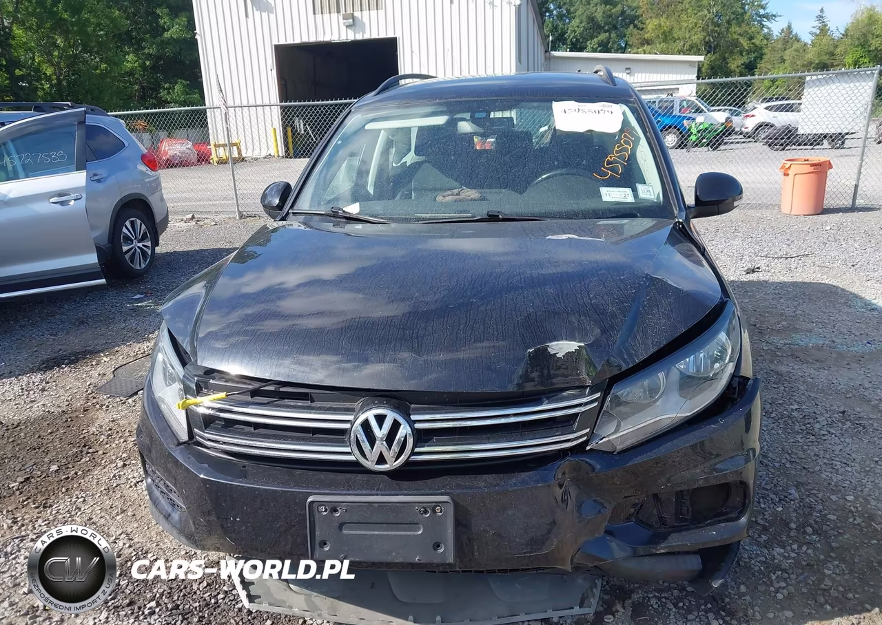 2017 Volkswagen Tiguan 2.0T-2.0T S VIN:WVGBV7AXXHK027832 - 12