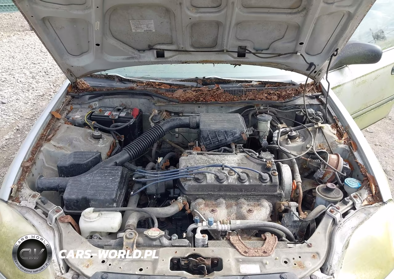 1998 Honda Civic Lx VIN:2HGEJ6678WH508555 - 10
