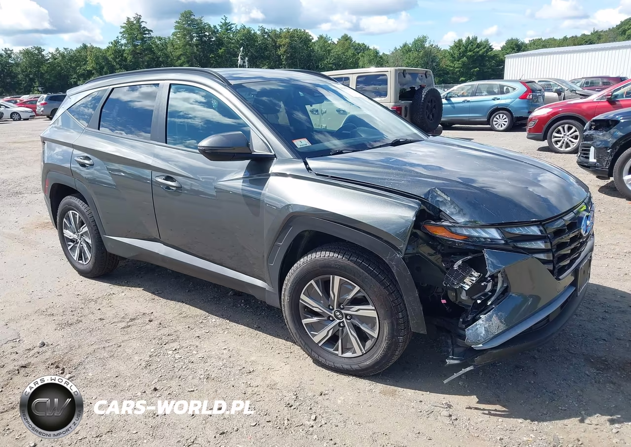 2023 Hyundai Tucson Hybrid Blue