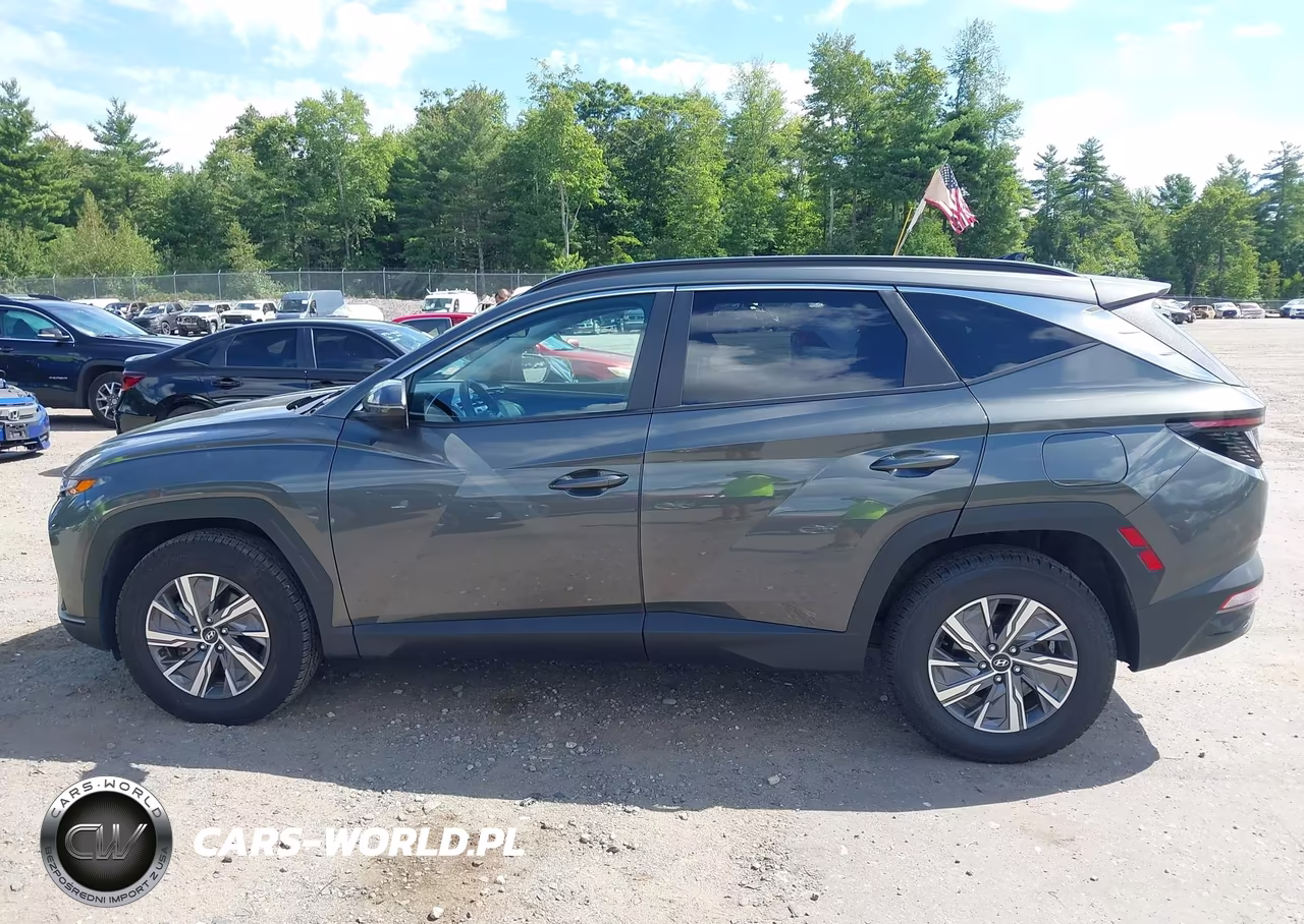2023 Hyundai Tucson Hybrid Blue VIN:KM8JBCA16PU095394 - 15
