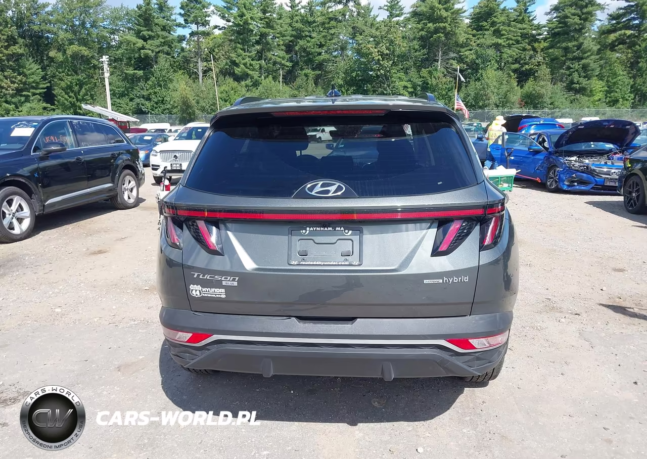 2023 Hyundai Tucson Hybrid Blue VIN:KM8JBCA16PU095394 - 17