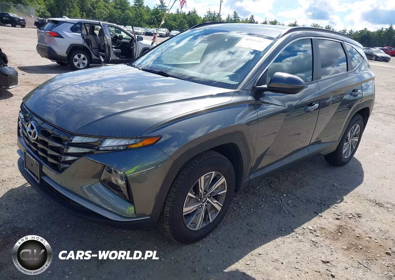 2023 Hyundai Tucson Hybrid Blue VIN:KM8JBCA16PU095394 - 2
