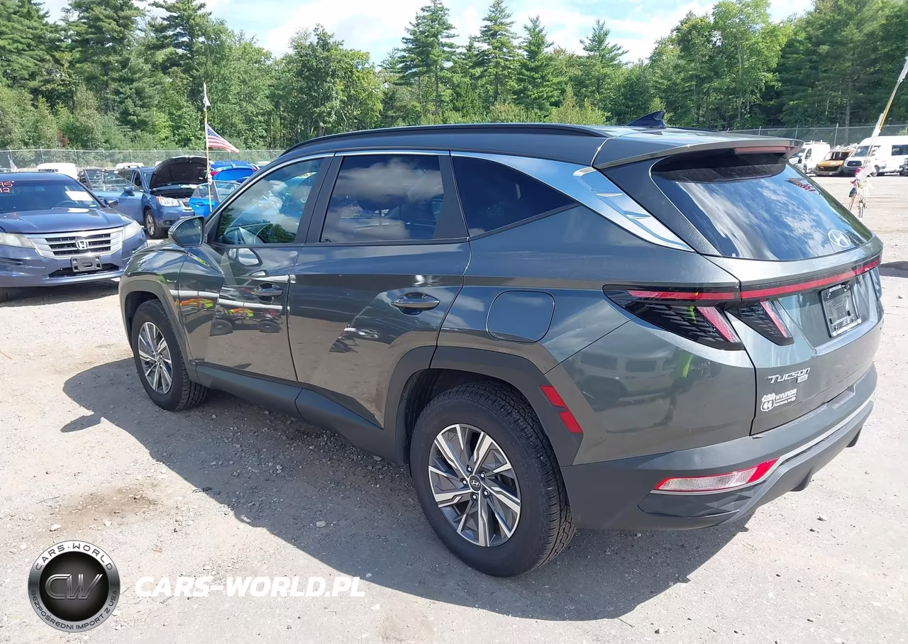 2023 Hyundai Tucson Hybrid Blue VIN:KM8JBCA16PU095394 - 3