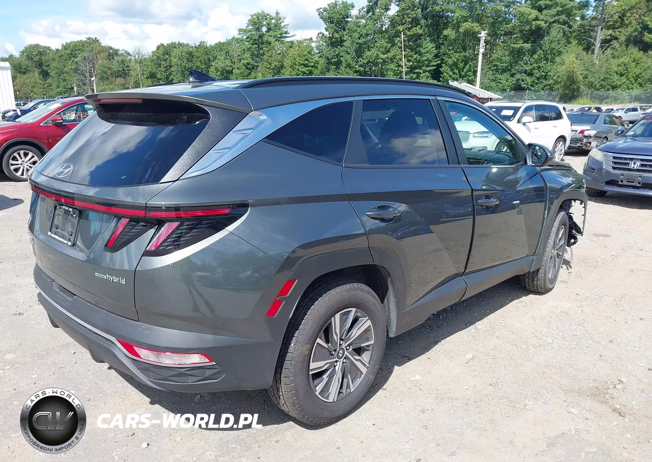 2023 Hyundai Tucson Hybrid Blue VIN:KM8JBCA16PU095394 - 4