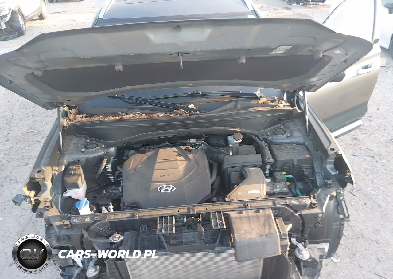 2024 Hyundai Palisade Calligraphy VIN:KM8R7DGE6RU769423 - 10