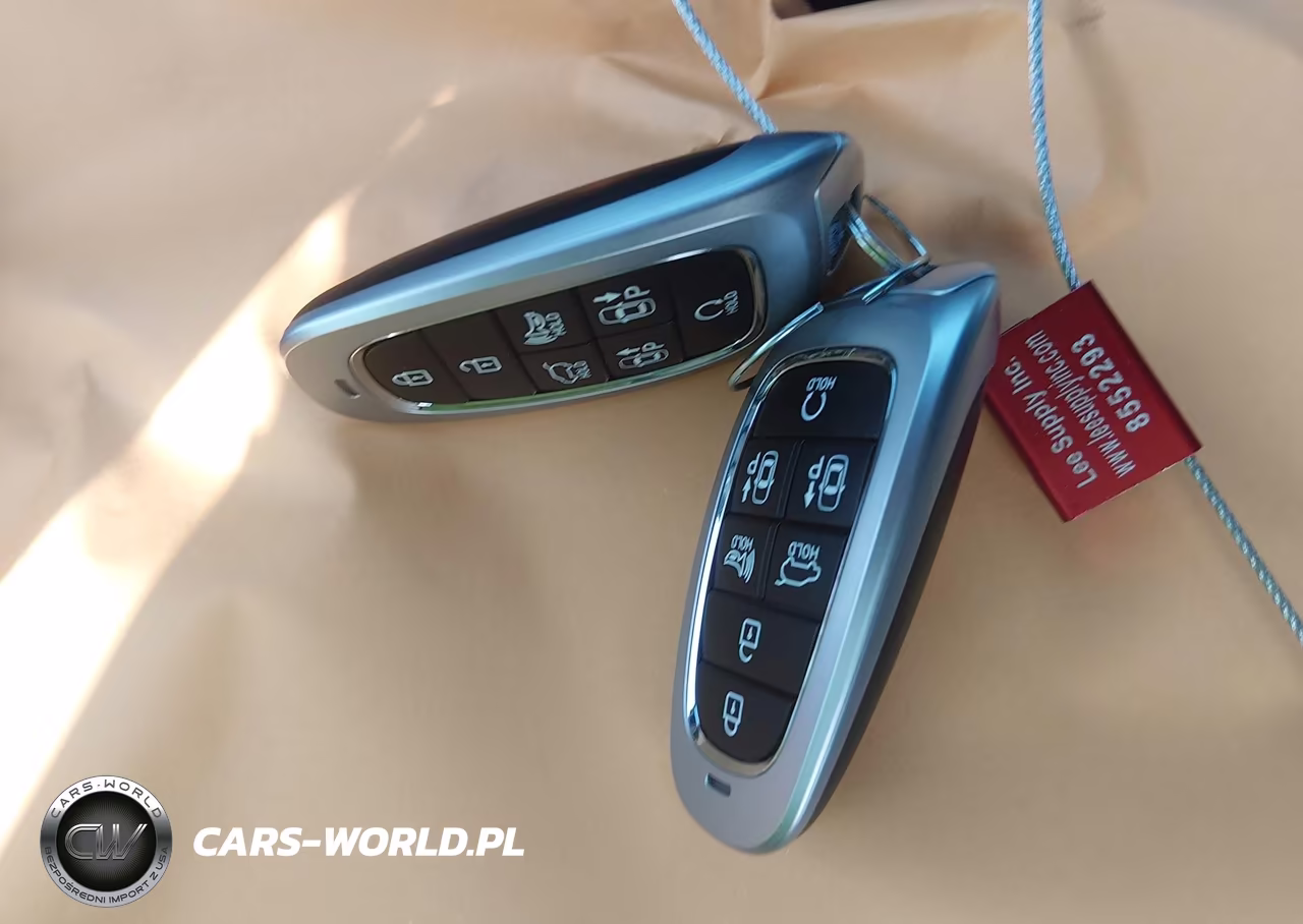 2024 Hyundai Palisade Calligraphy VIN:KM8R7DGE6RU769423 - 11