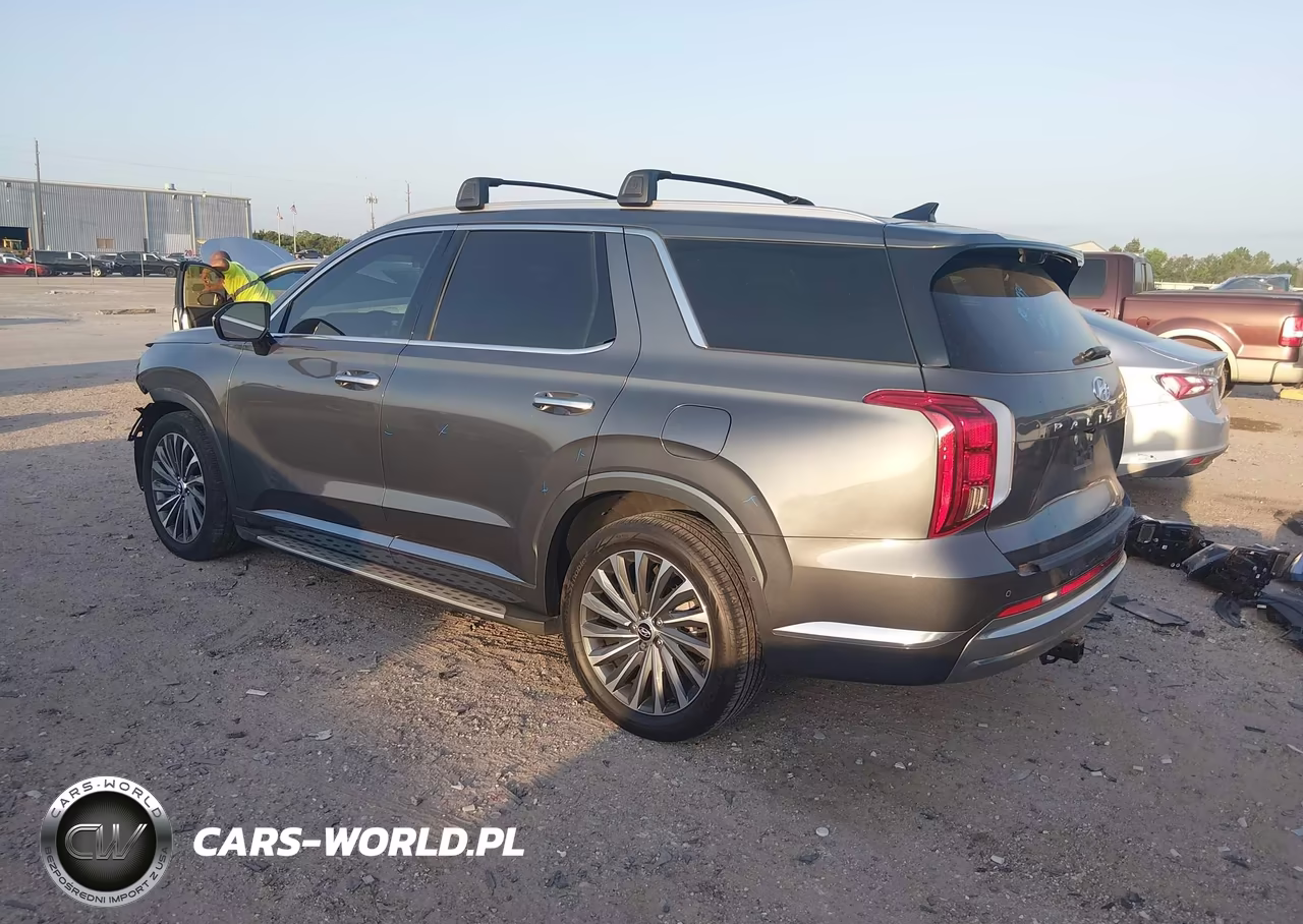 2024 Hyundai Palisade Calligraphy VIN:KM8R7DGE6RU769423 - 3