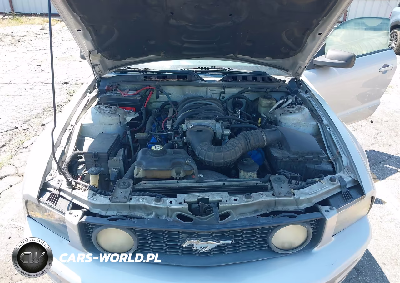 2006 Ford Mustang Gt VIN:1ZVFT85H165196862 - 10