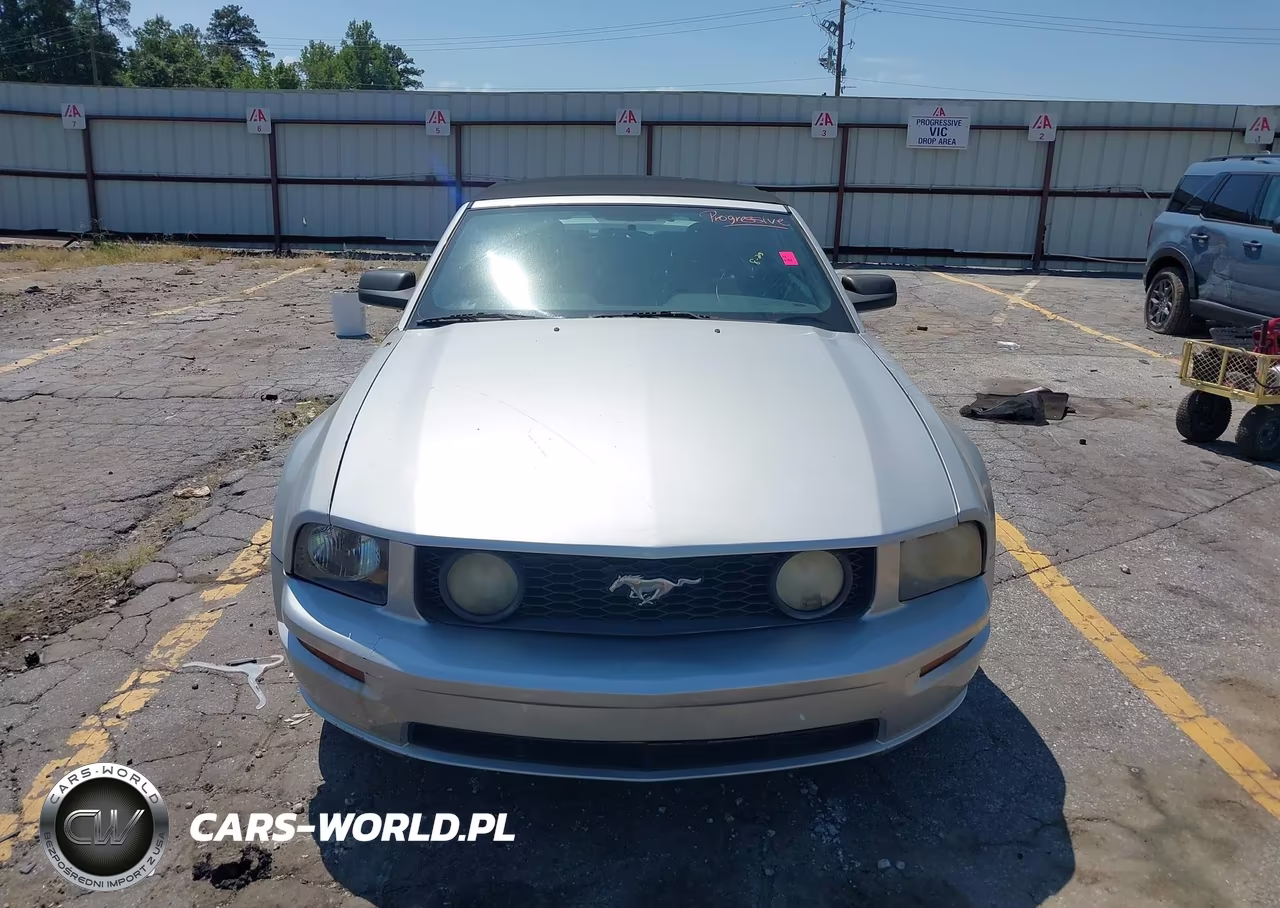 2006 Ford Mustang Gt VIN:1ZVFT85H165196862 - 13