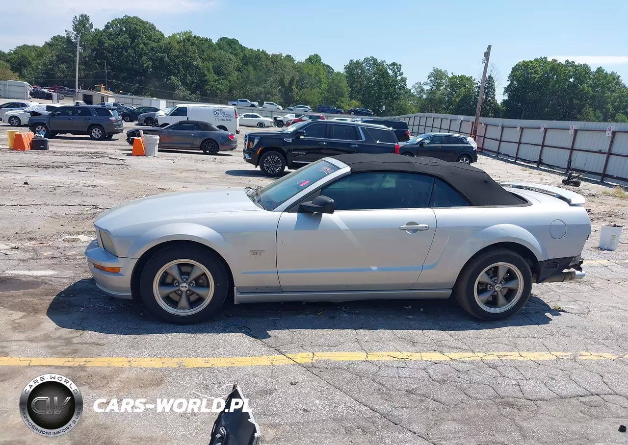 2006 Ford Mustang Gt VIN:1ZVFT85H165196862 - 15