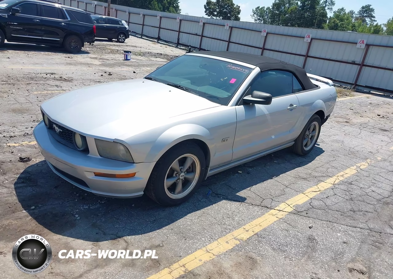 2006 Ford Mustang Gt VIN:1ZVFT85H165196862 - 2