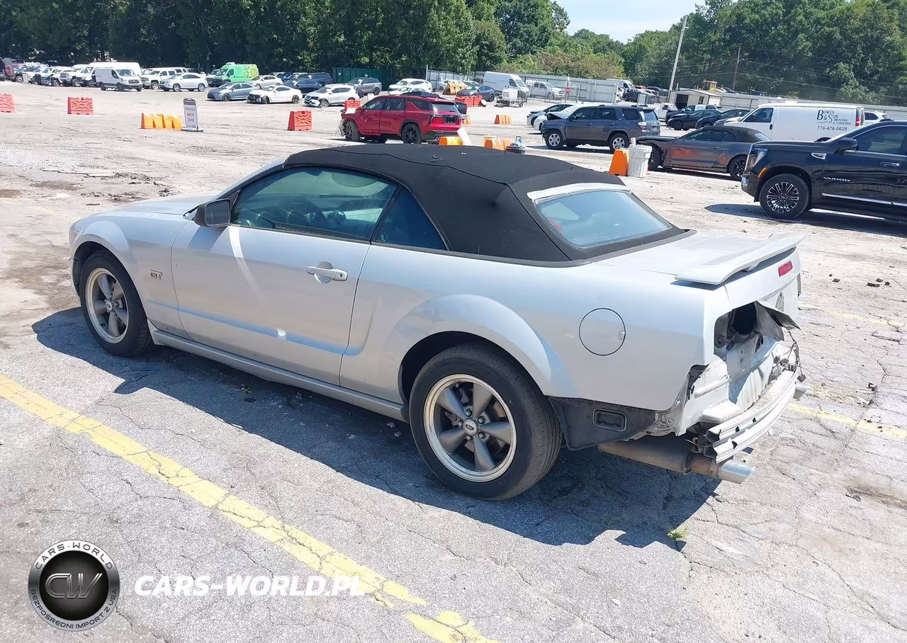 2006 Ford Mustang Gt VIN:1ZVFT85H165196862 - 3