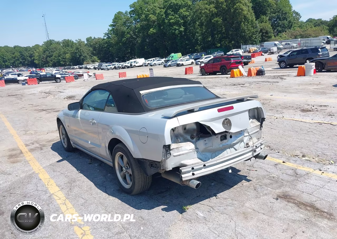 2006 Ford Mustang Gt VIN:1ZVFT85H165196862 - 6