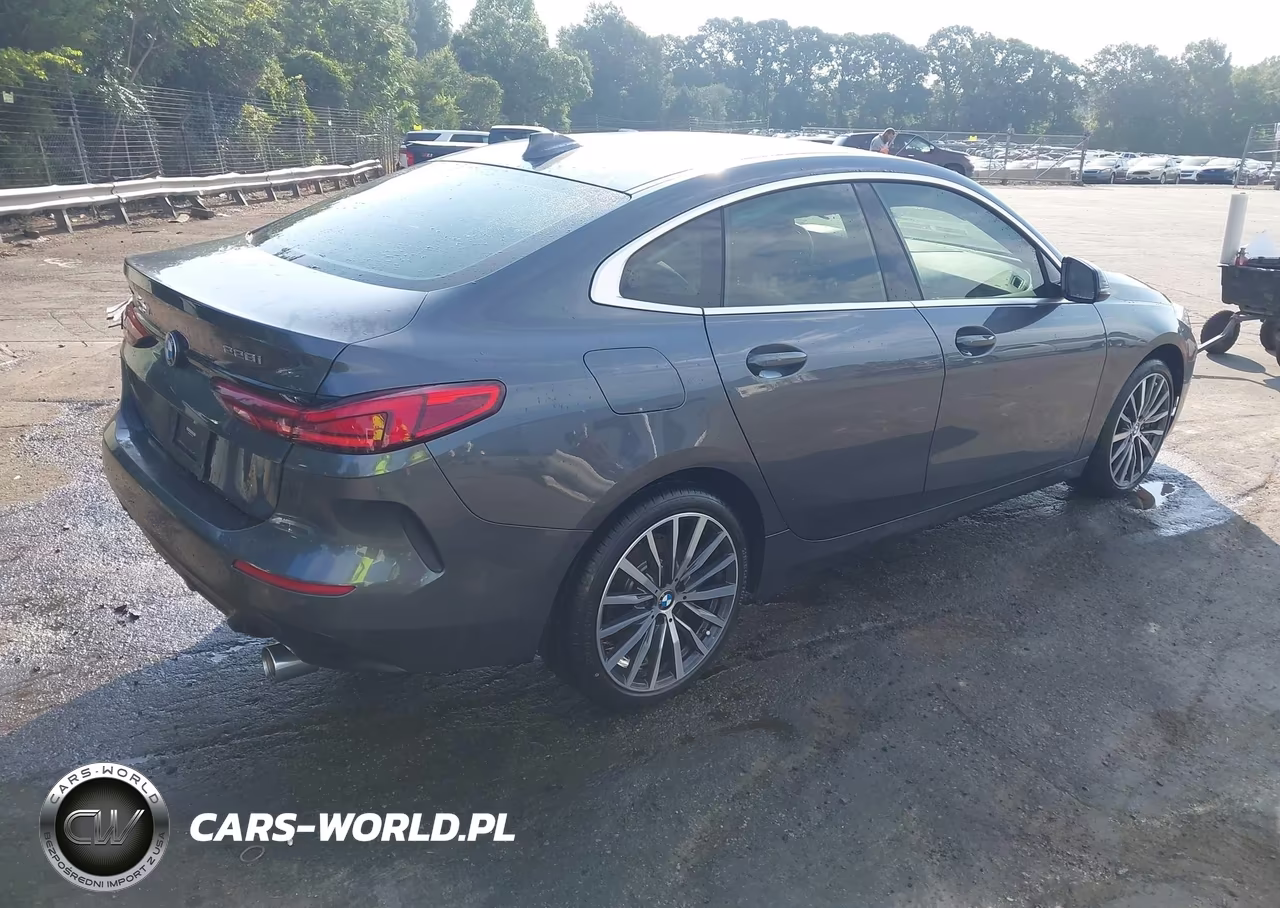 2020 BMW 228I Gran Coupe xDrive VIN:WBA73AK03L7F54203 - 4