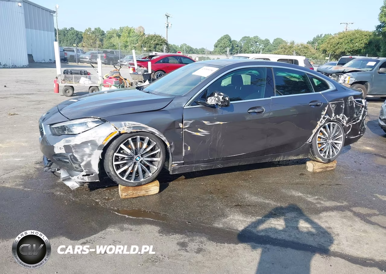 2020 BMW 228I Gran Coupe xDrive VIN:WBA73AK03L7F54203 - 6