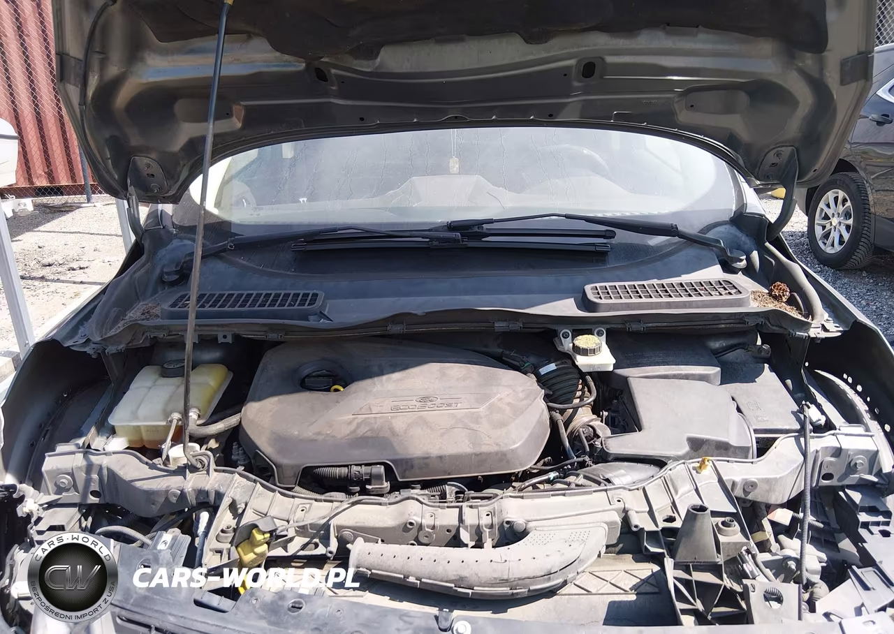 2014 Ford Escape Se VIN:1FMCU0GX4EUD81741 - 10