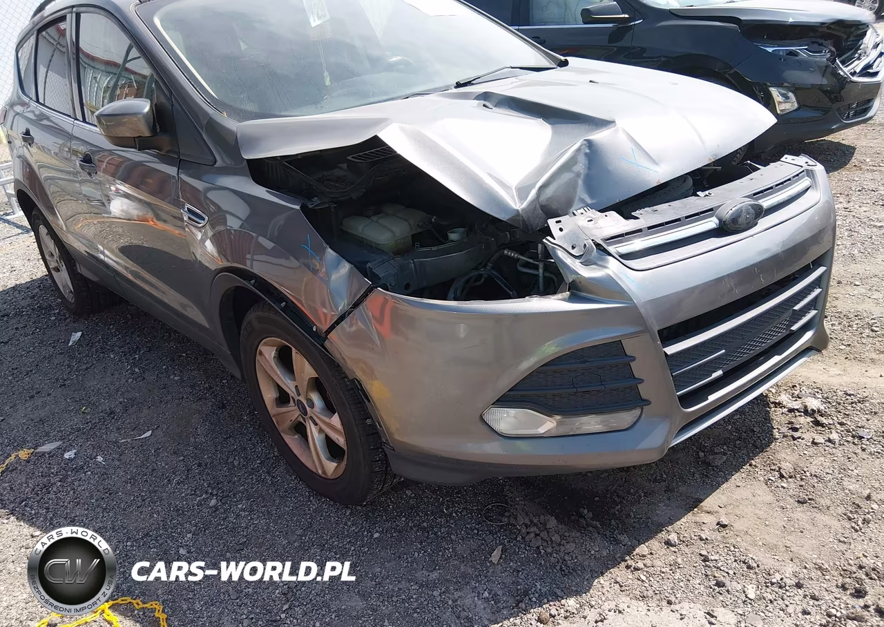 2014 Ford Escape Se VIN:1FMCU0GX4EUD81741 - 12