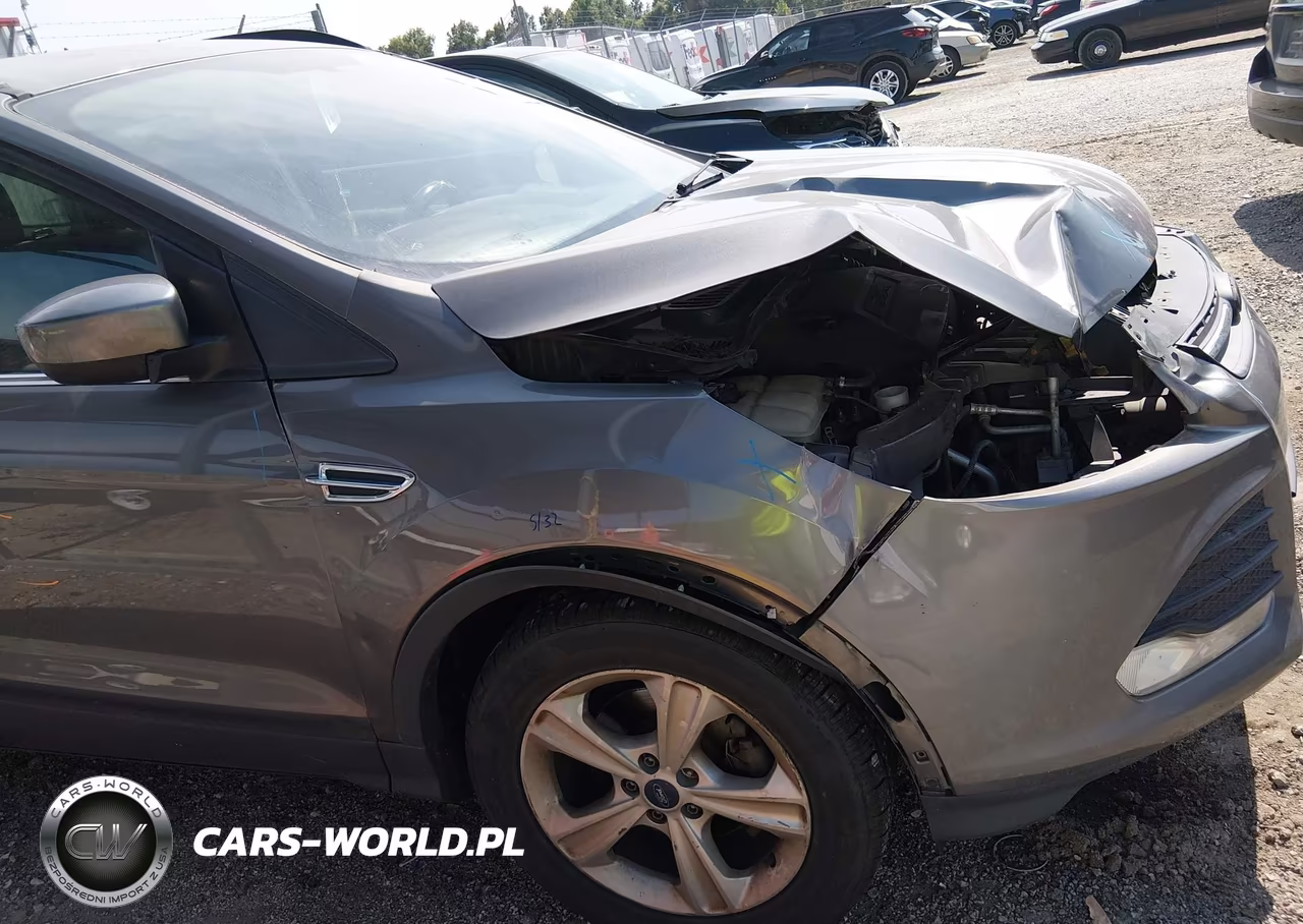 2014 Ford Escape Se VIN:1FMCU0GX4EUD81741 - 13