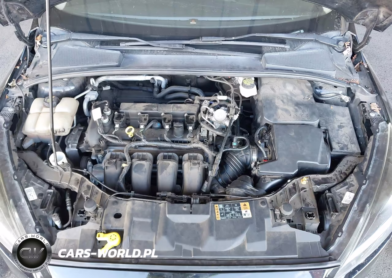 2018 Ford Focus Sel VIN:1FADP3H21JL205630 - 10