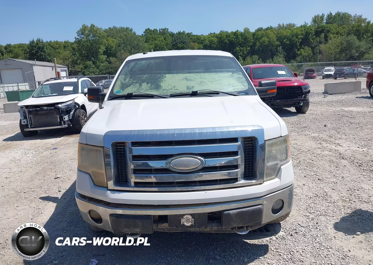 2009 Ford F-150 Xlt VIN:1FTPW14V69FB43439 - 12