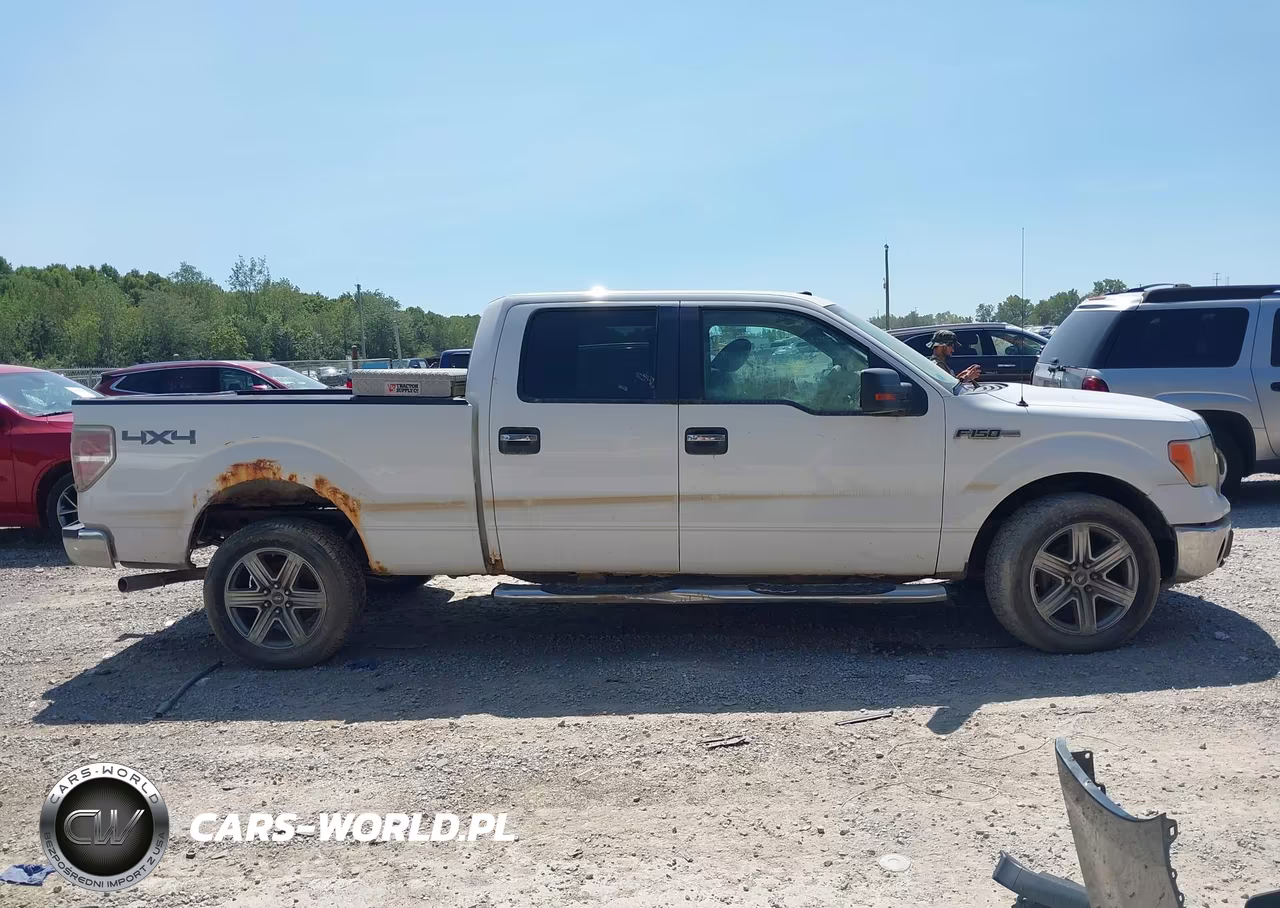 2009 Ford F-150 Xlt VIN:1FTPW14V69FB43439 - 13