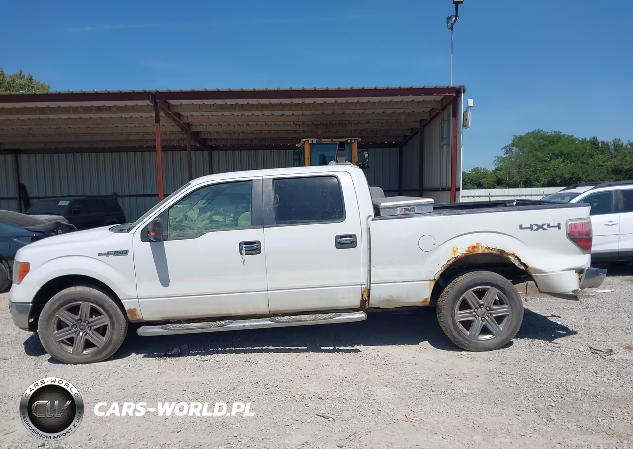 2009 Ford F-150 Xlt VIN:1FTPW14V69FB43439 - 14