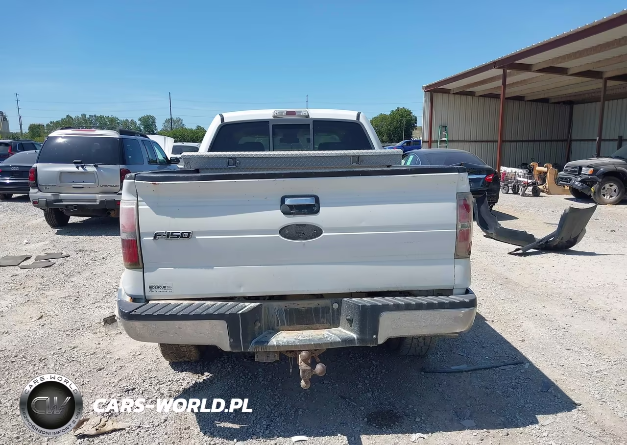 2009 Ford F-150 Xlt VIN:1FTPW14V69FB43439 - 16