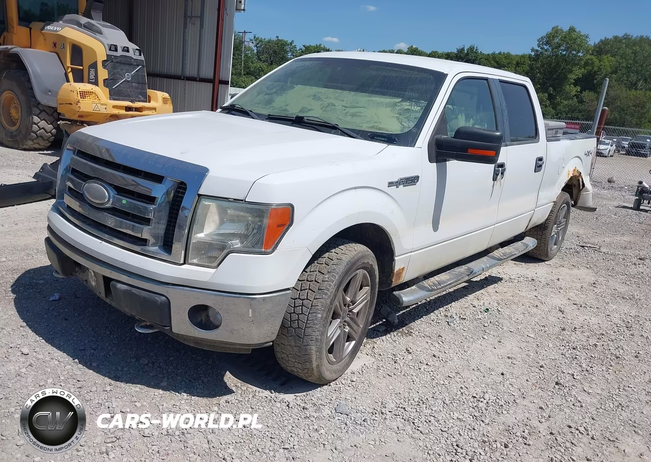 2009 Ford F-150 Xlt VIN:1FTPW14V69FB43439 - 2