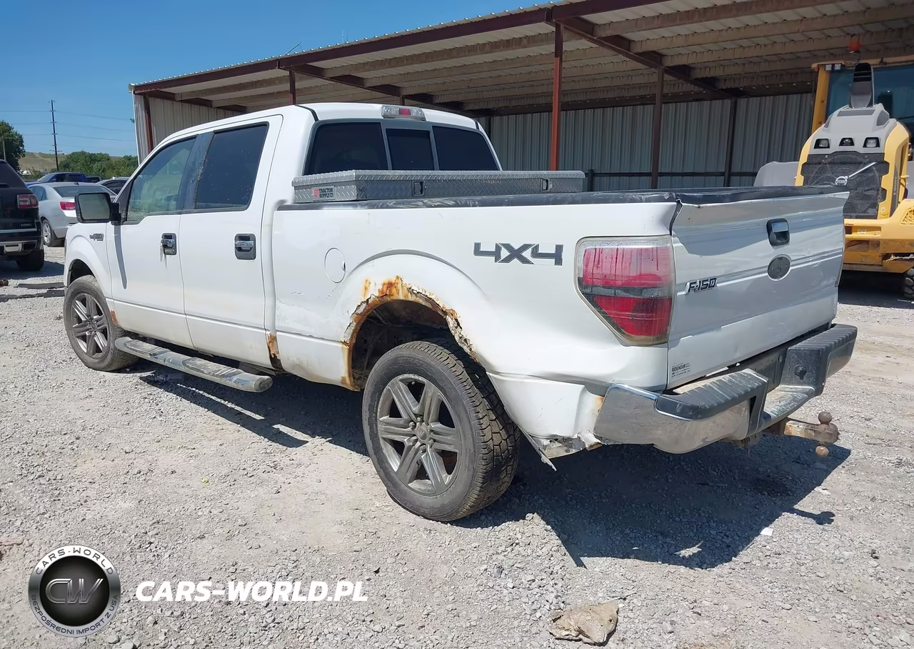 2009 Ford F-150 Xlt VIN:1FTPW14V69FB43439 - 3