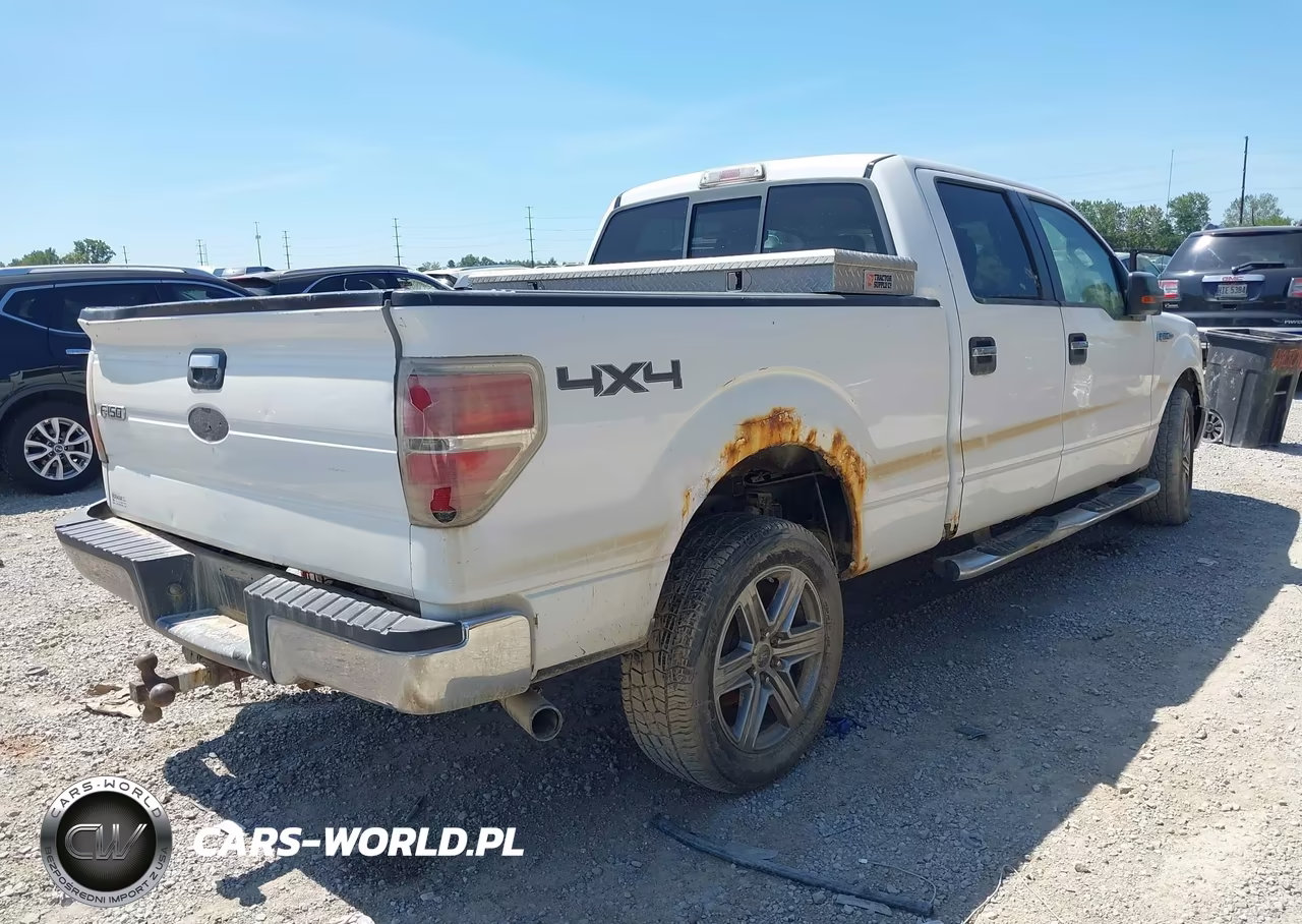 2009 Ford F-150 Xlt VIN:1FTPW14V69FB43439 - 4